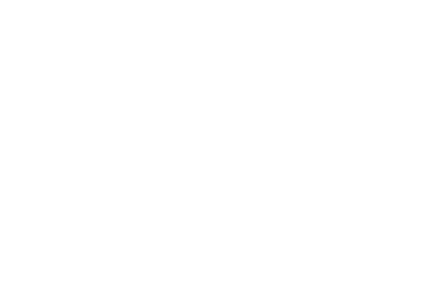 Icon item