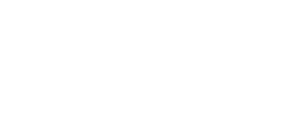 Icon item