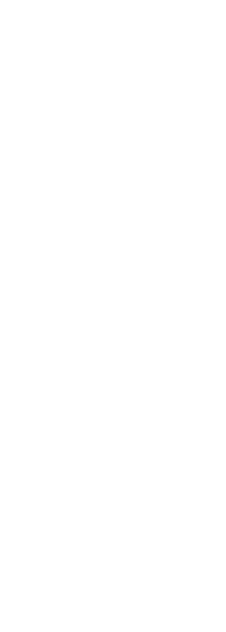 Icon item