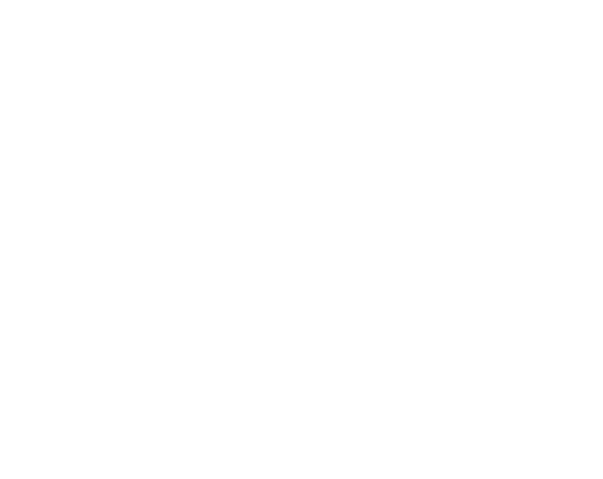 Icon item