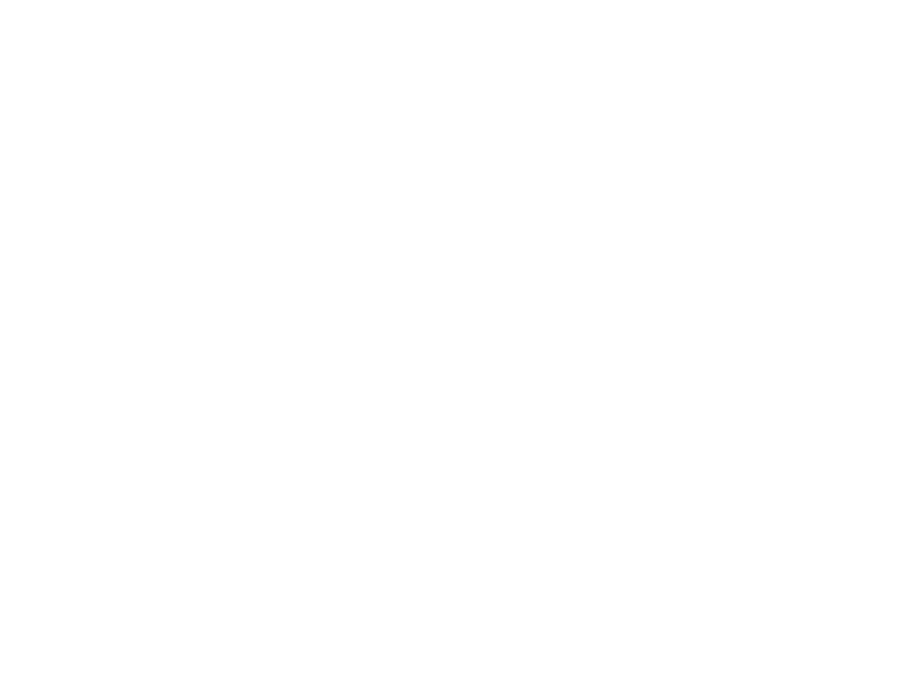 Icon item